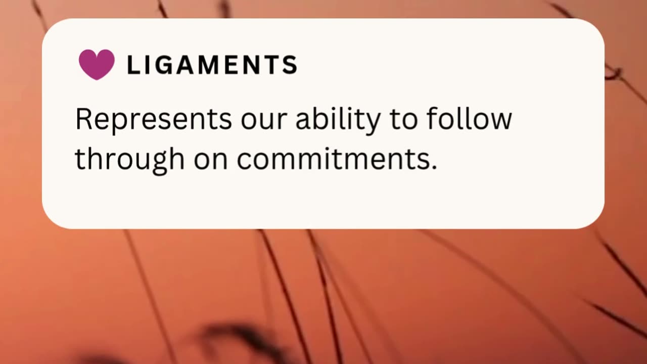 LIGAMENTS ❤️