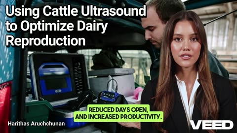 Using Cattle Ultrasound to Optimize Dairy Reproduction:A Smart Step Toward Fertility Success