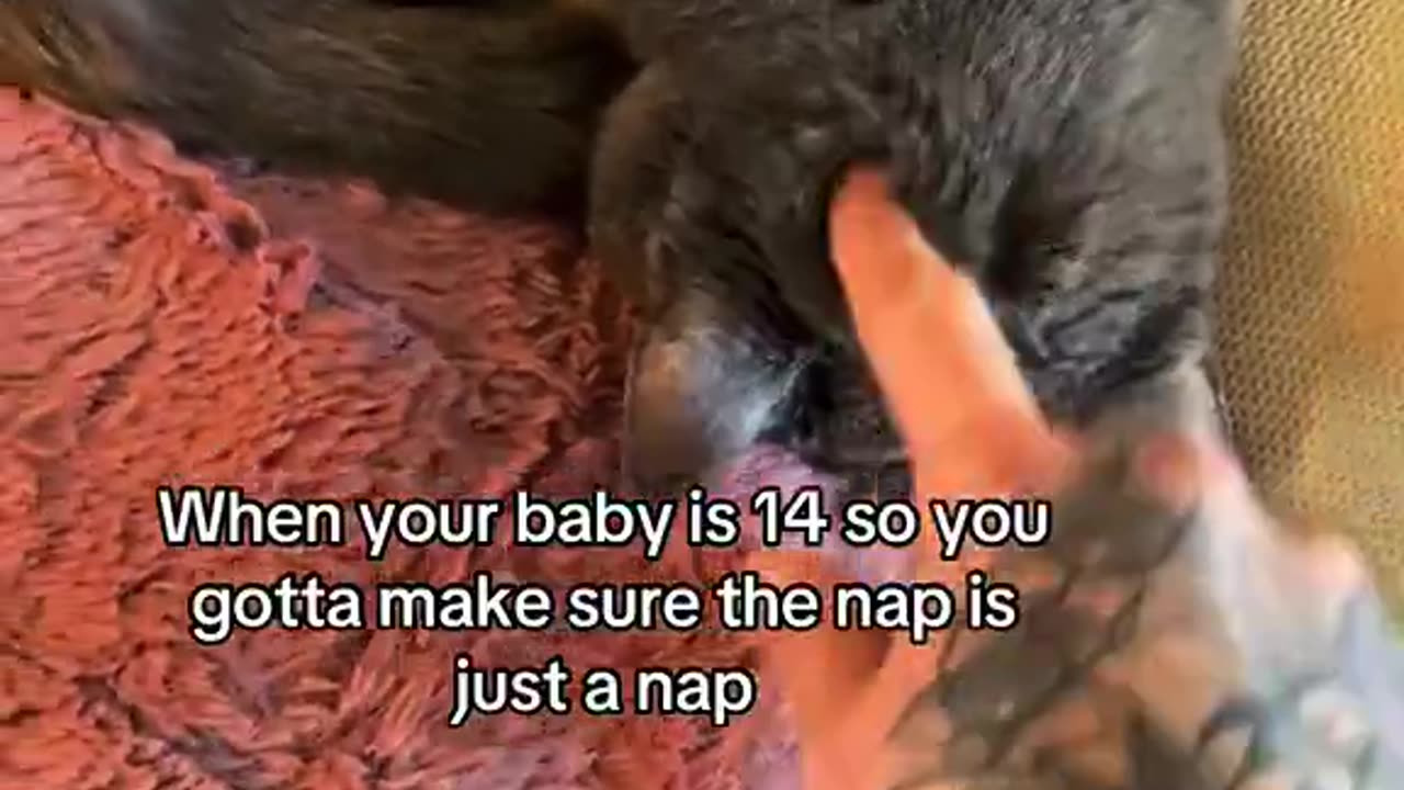 “YES IM BREATHING, DAMN!!!!” 😂