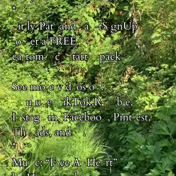 Sovereign’s Ascent | Path and Tarot Reading