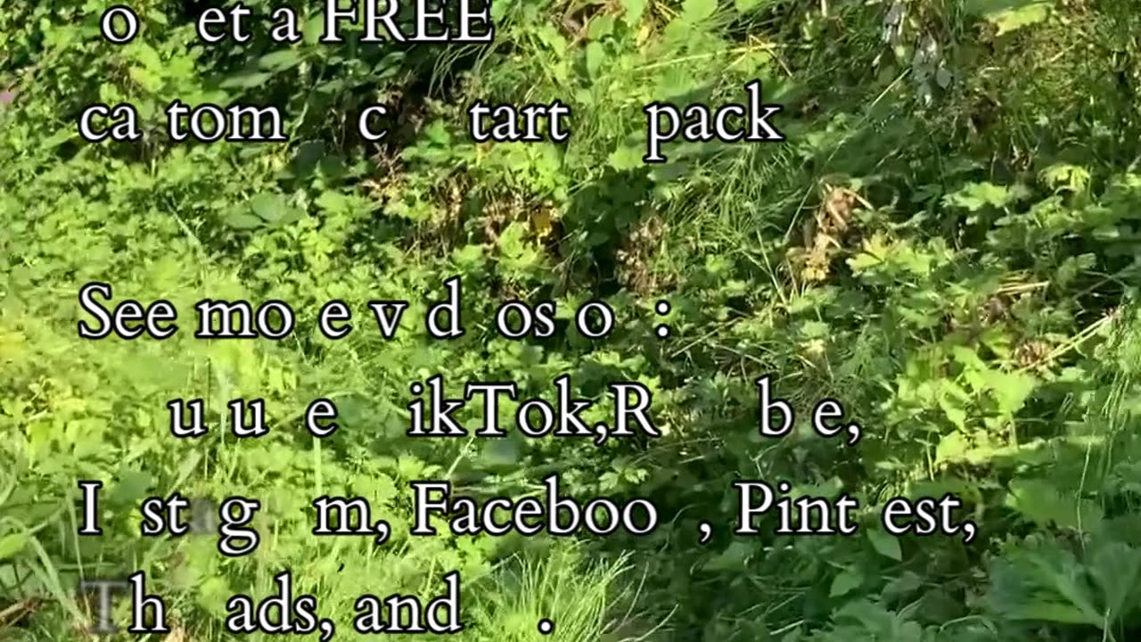 Sovereign’s Ascent | Path and Tarot Reading