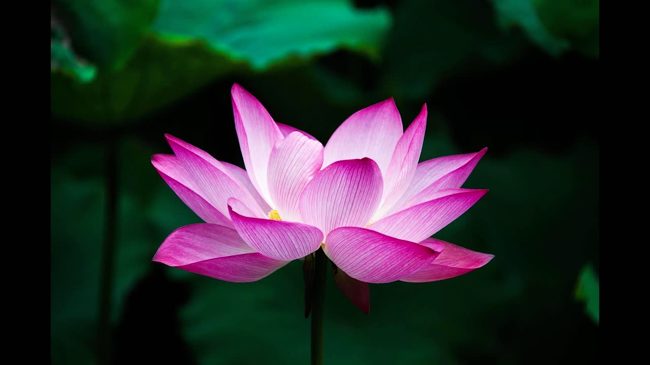 Ignite the Fire in Woman