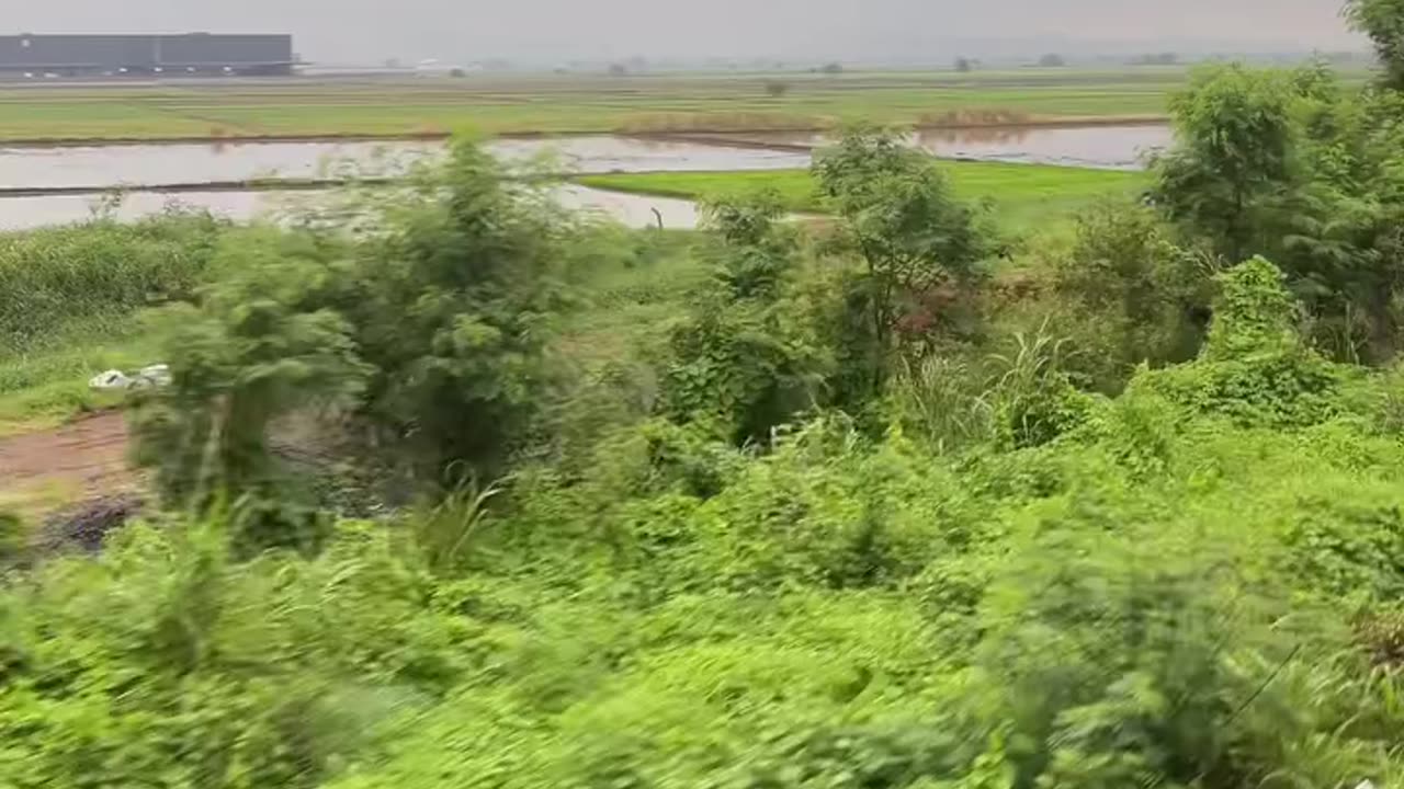 Video hindi