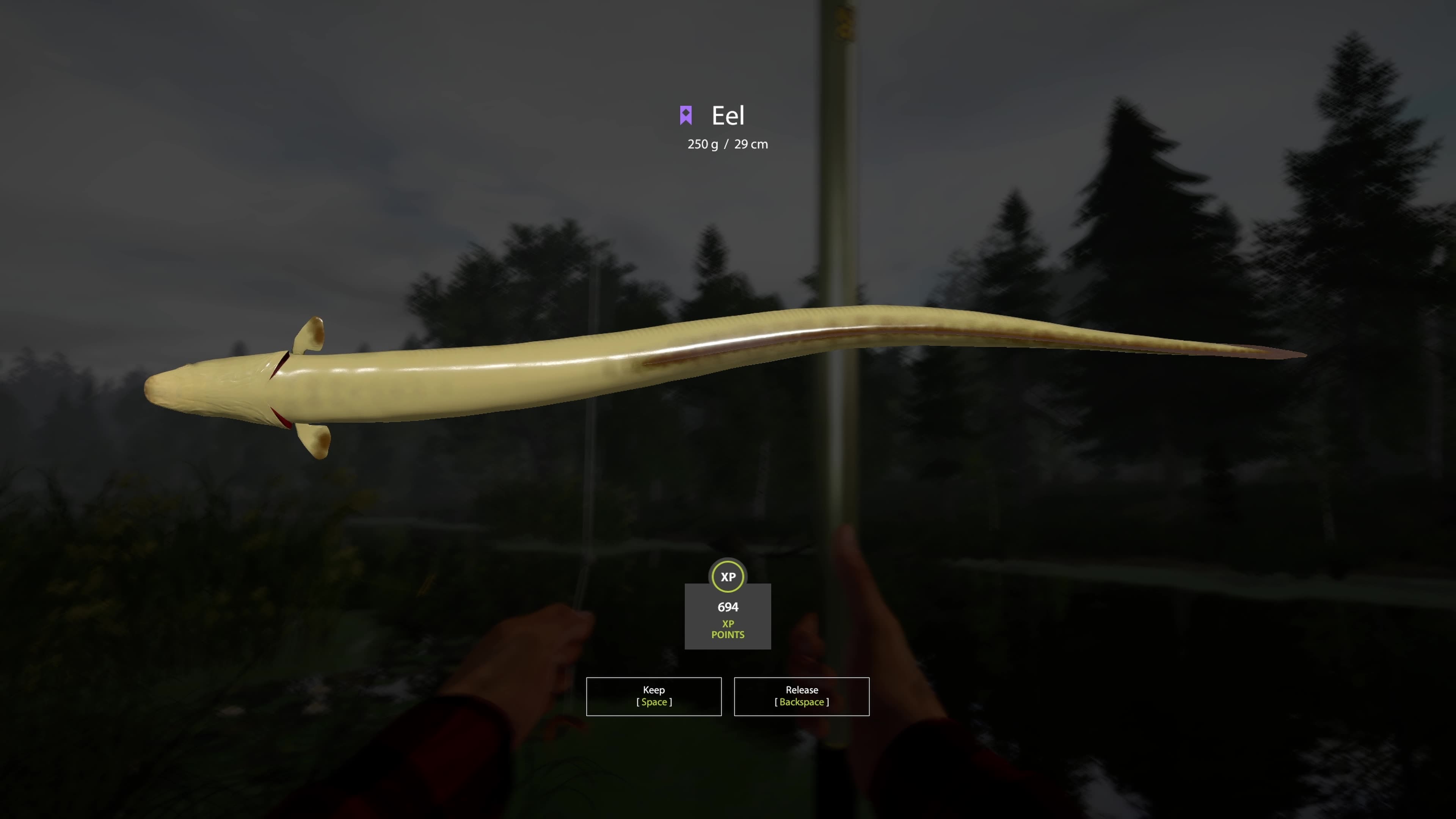 Rare EEL, float fishing, Old Burg Lake, Russian Fishing 4, PC game