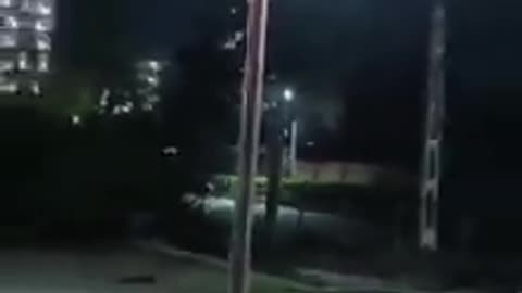 Just some cats out for a stroll on the streets in India
