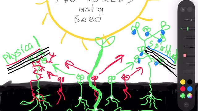 Two worlds and a seed
