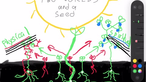 Two worlds and a seed