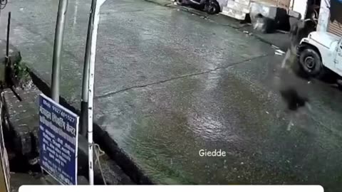 😂🐱 Wait Until You See What Happens Next! | FunFM