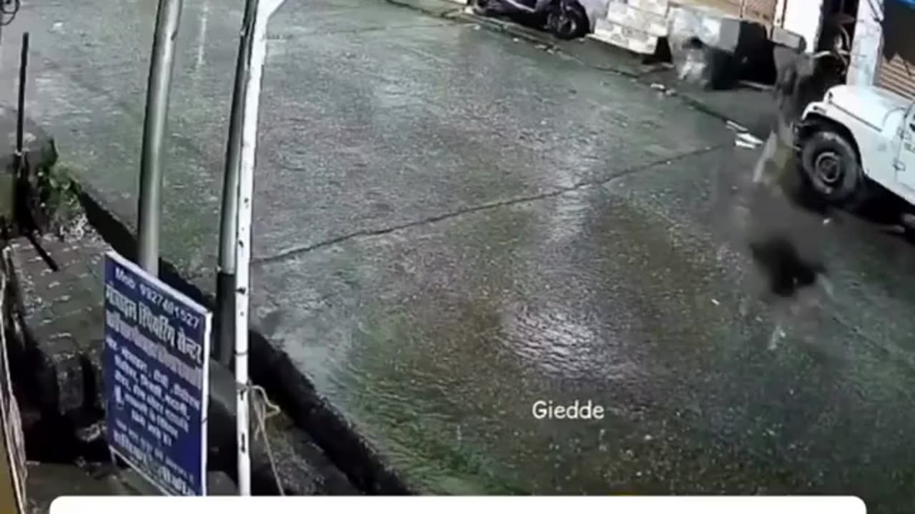 😂🐱 Wait Until You See What Happens Next! | FunFM