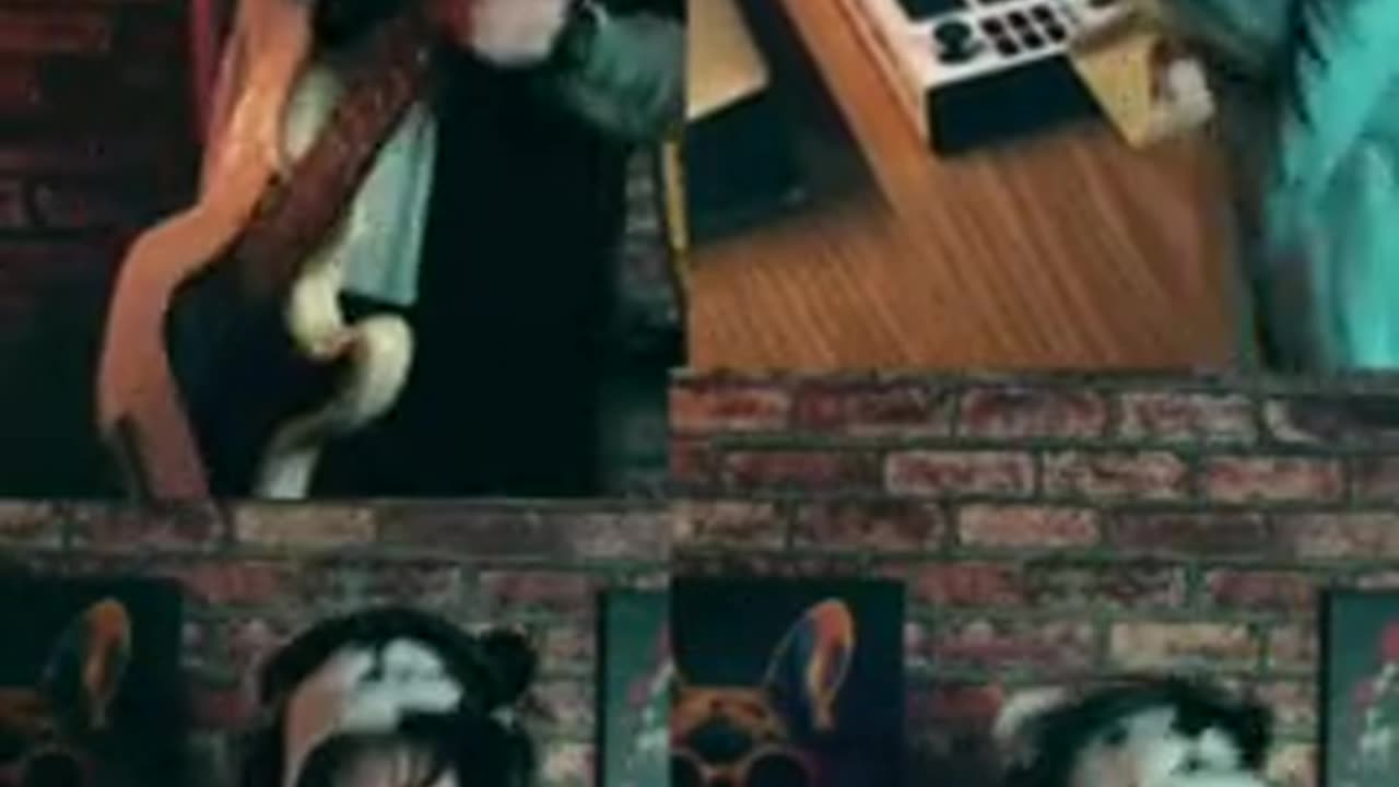 Parrot Song Exit