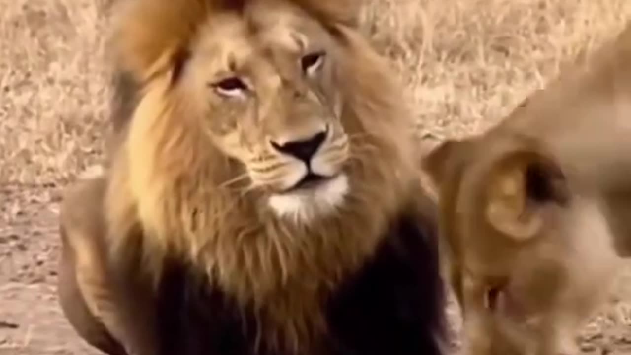 That's mother's love