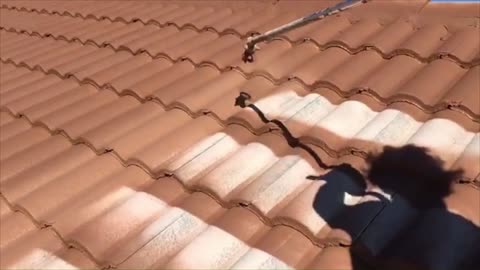 How to Paint a Tile Roof using PERMAKOTE® Roof Coating System