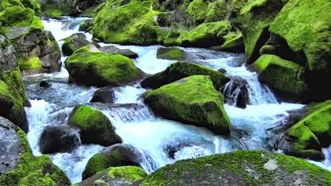 River, rocks, moss