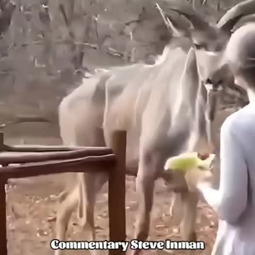 Life is not a cartoon