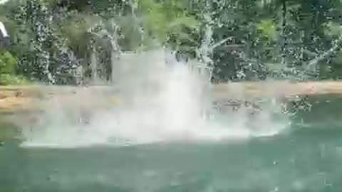 Mr Beast Rolex CHallenge