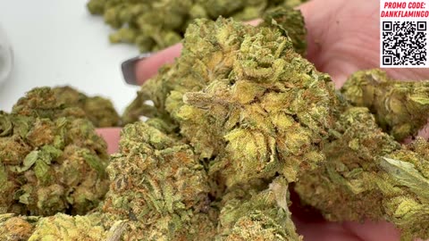 Small Buds and Big Vibez with TSB and Dankin with the Flamingos! Review!!