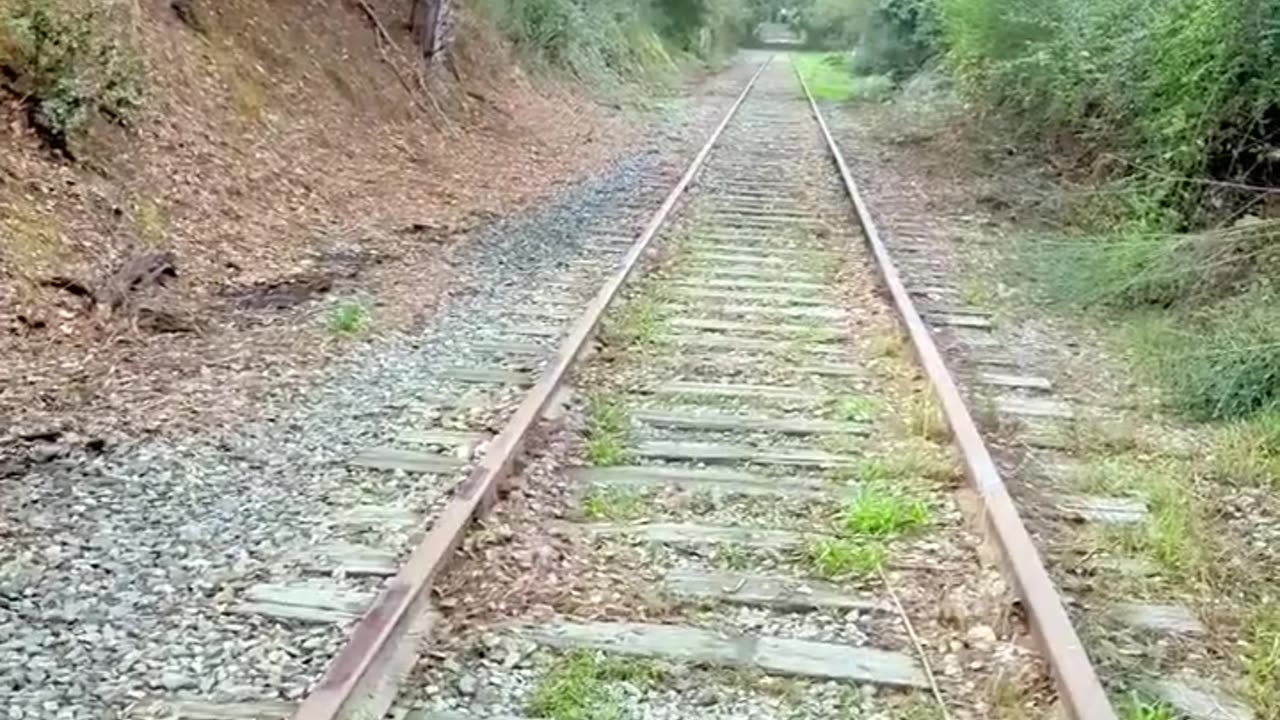 Continue Your Journey