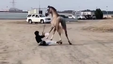 Horses can kick