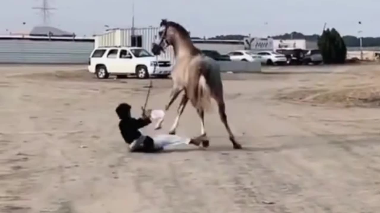 Horses can kick