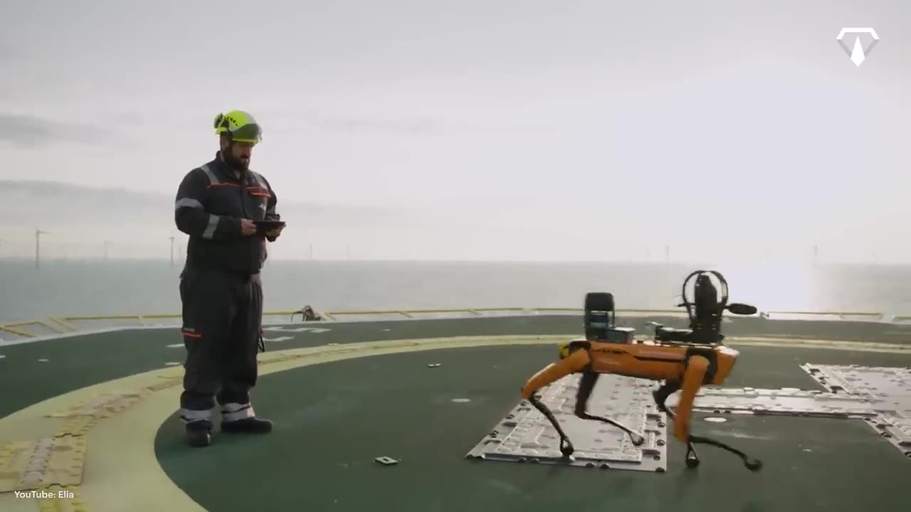 Warum Belgien eine künstliche Insel in der Nordsee baut