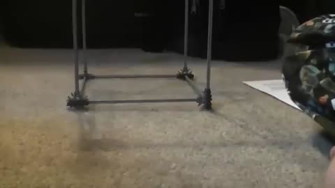 🚨The Kid Who Explained the 4th Dimension… Then Vanished