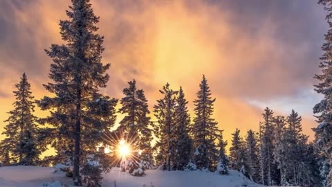 Le sentier de neige (Acoustic)