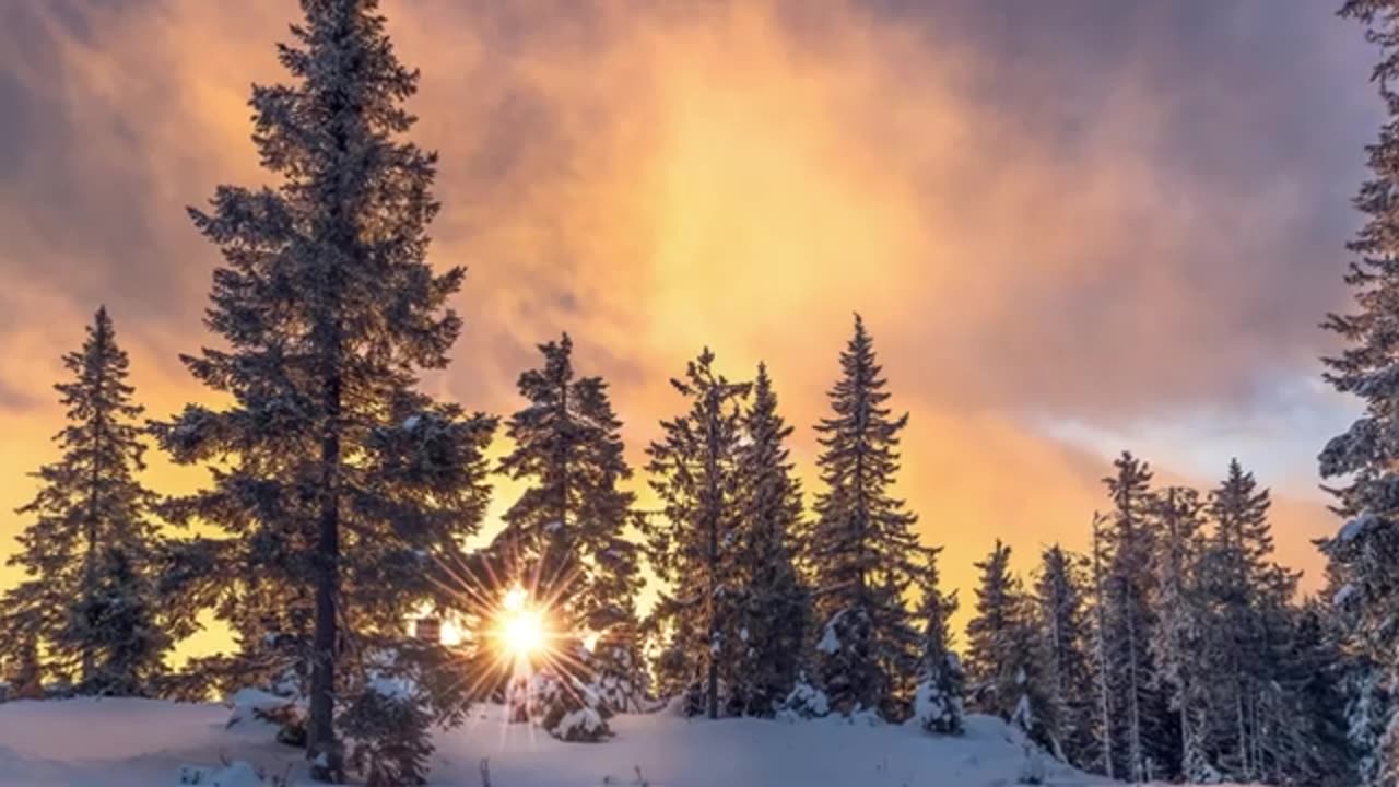 Le sentier de neige (Acoustic)