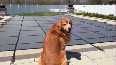 Patient Boy
