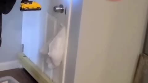 Basement Squatters Get Boarded Out