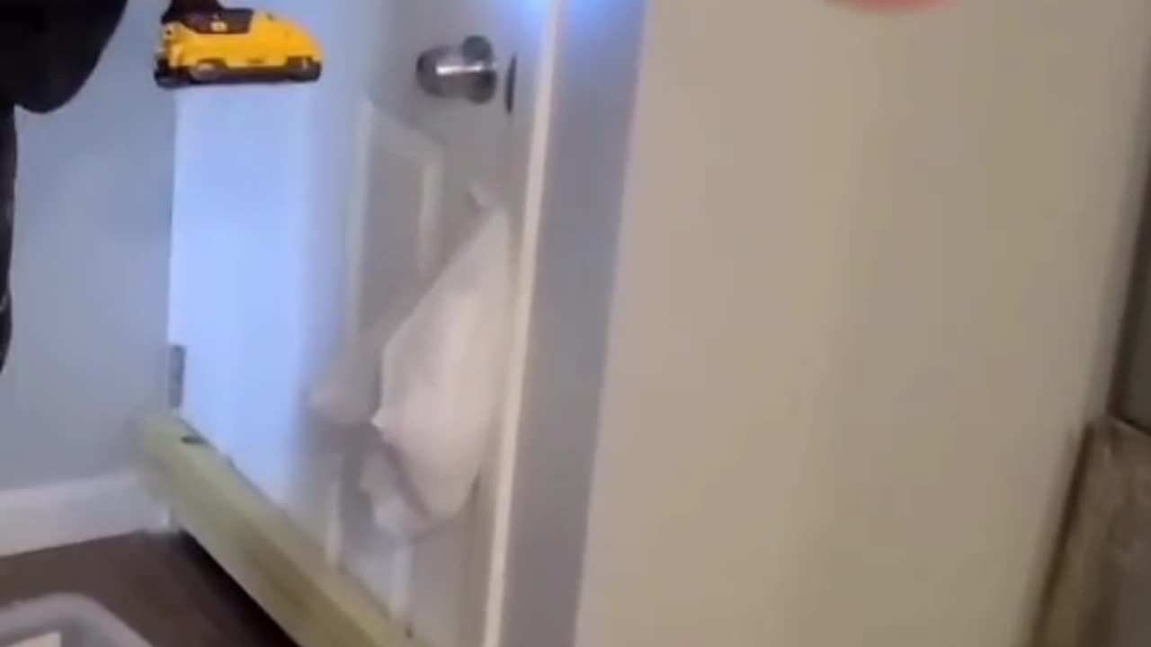 Basement Squatters Get Boarded Out