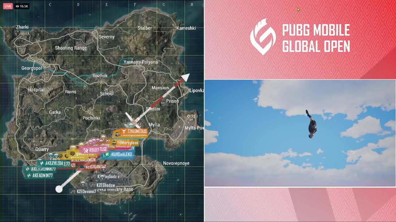 PUBG MOBILE ESPORTS