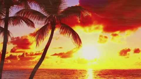 Beautiful Relaxing Peaceful Music, Calm Music 24/7, "Tropical Shores