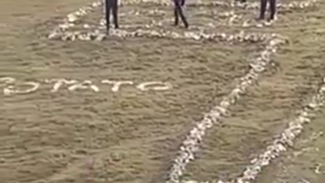 jew tourists dismantle a landmark cross on a Welsh hillside to create a giant star of remphan