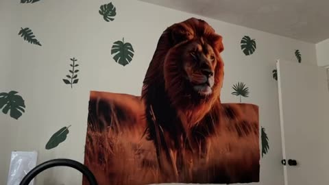 A large lion picture