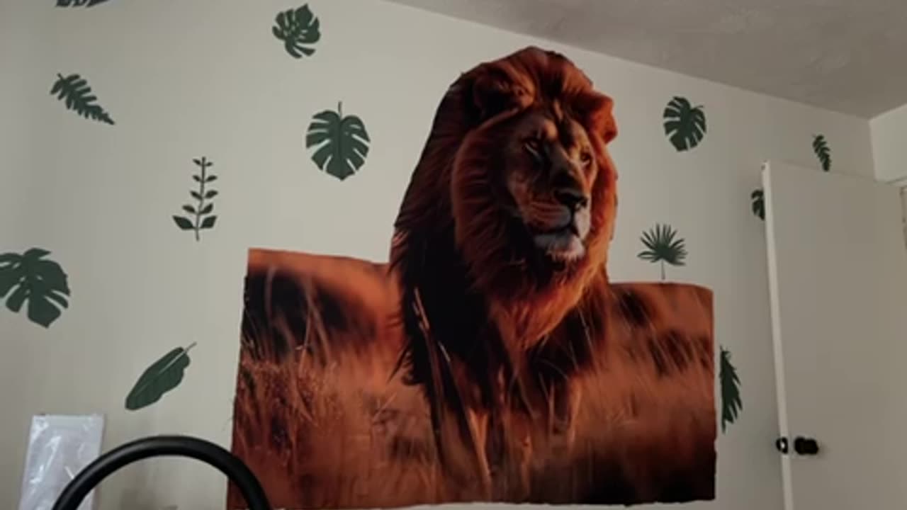A large lion picture