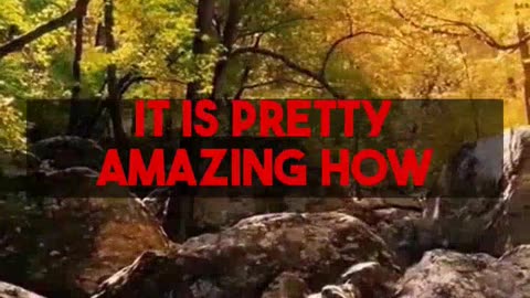 Proven Ways Nature Improves Mental Wellbeing
