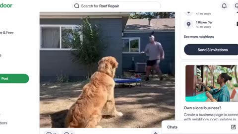 Funny Jump