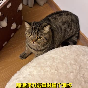 📹 Trending Chinese Viral Videos | Funny, Emotional & Shocking Moments