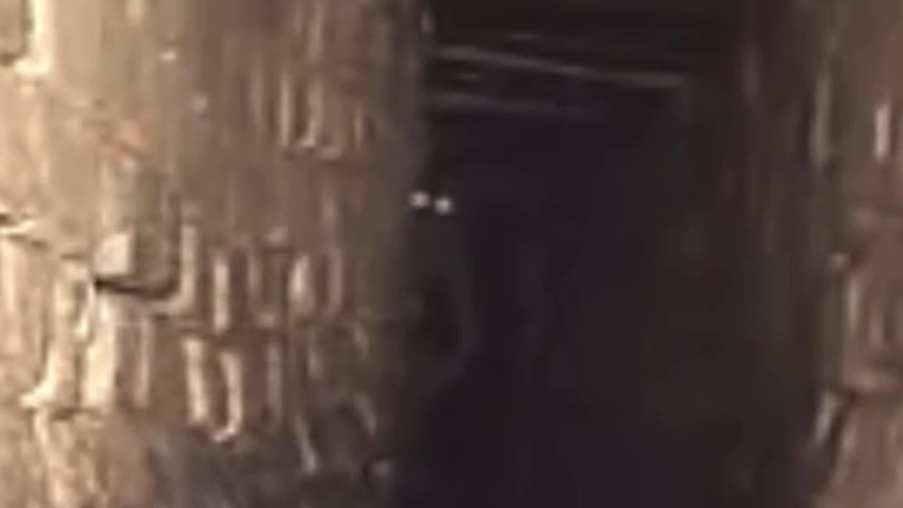 TUNNEL CREATURES CAUGHT ON CAMERA