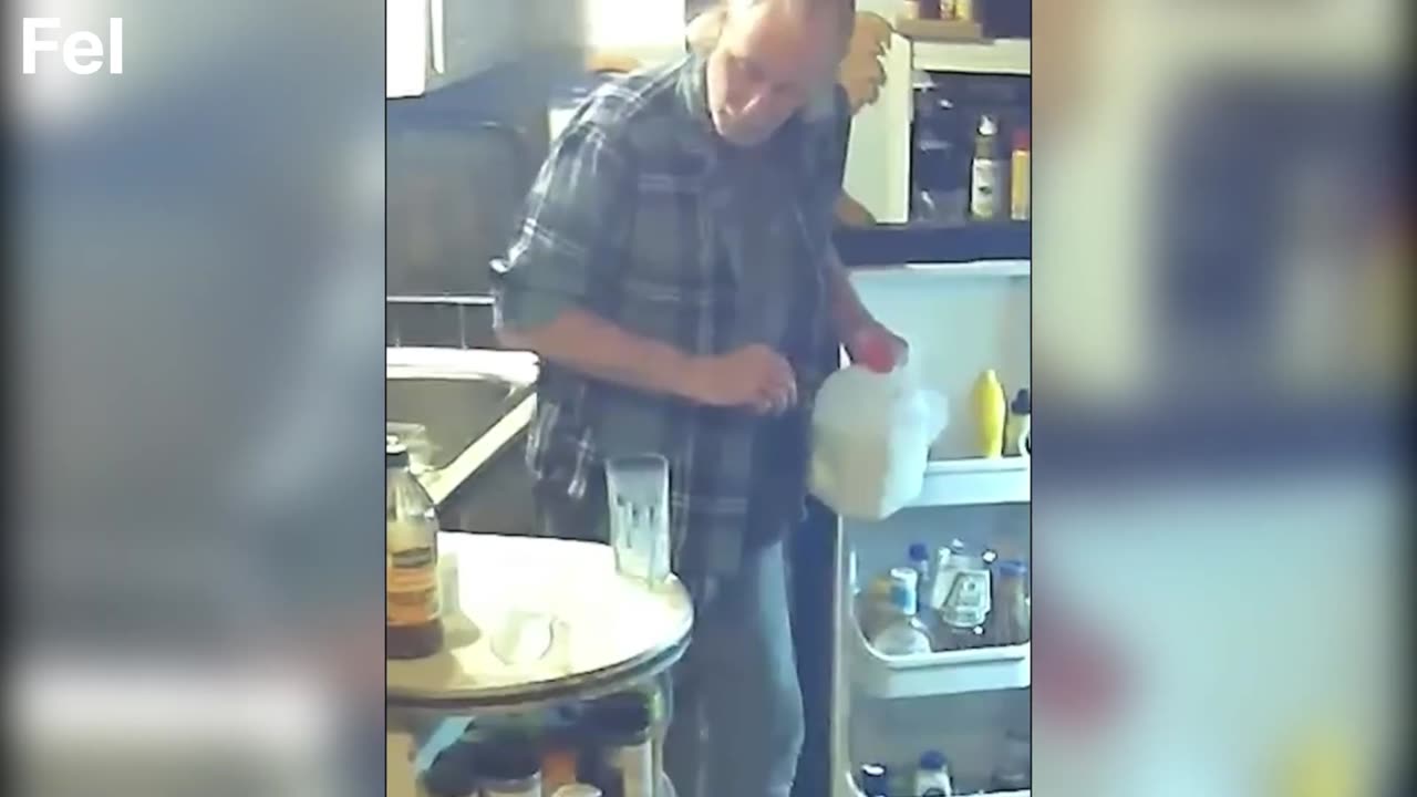 Try Not To Laugh Part 4