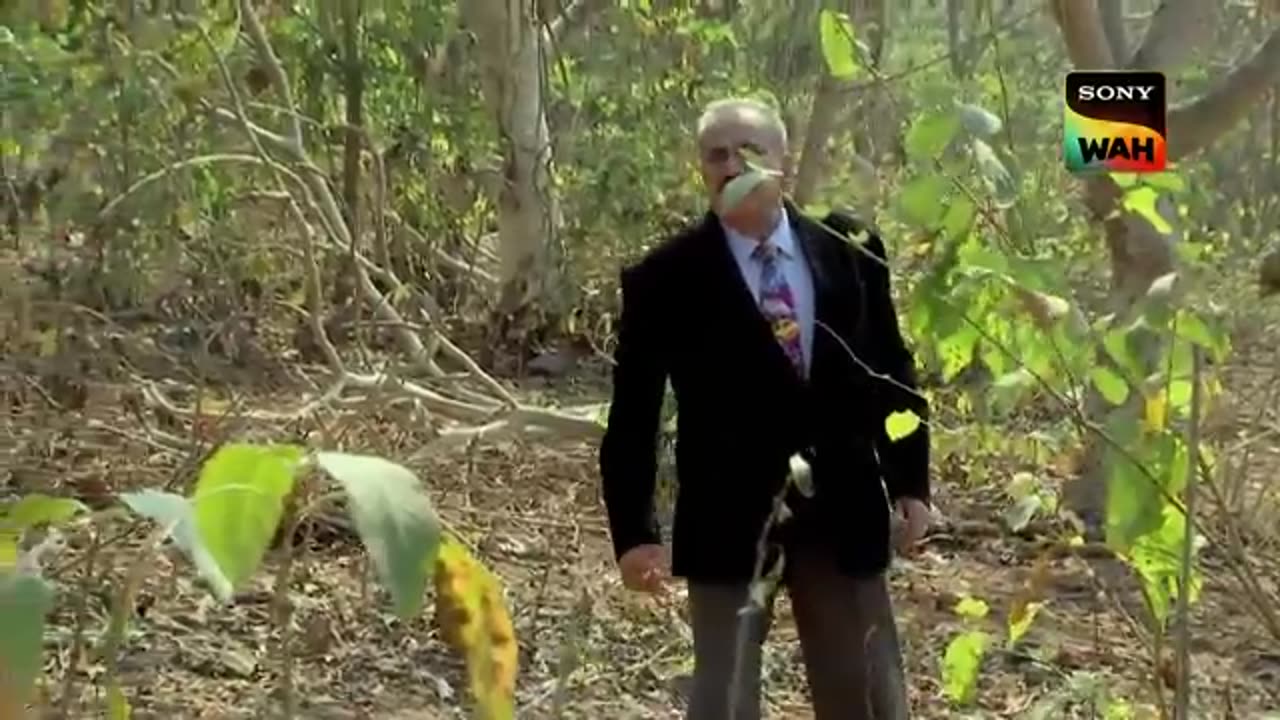 Jungle में मिला एक Stone कैसे बना CID के लिए Prime Clue_ _ CID _ सी.आई.डी. _ Jungle Series
