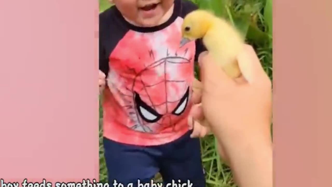 Best Funny
