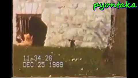 ニコラエ・チャウシェスクとその妻がどのようにして再び立ち上がったかを見てください。