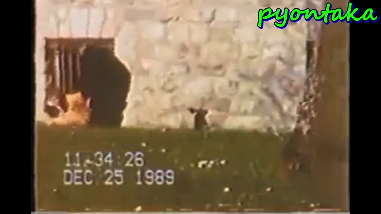 ニコラエ・チャウシェスクとその妻がどのようにして再び立ち上がったかを見てください。