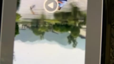 Wheeeeee
