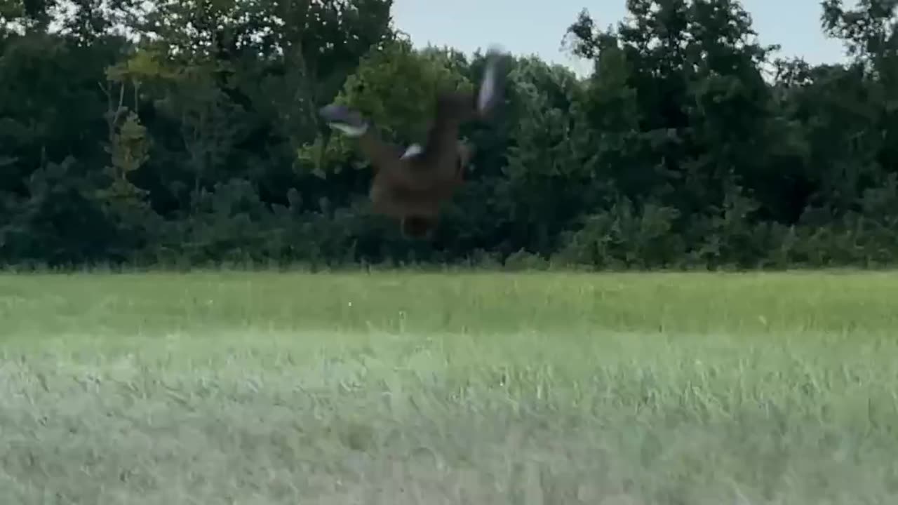 Human vs Jet Engine
