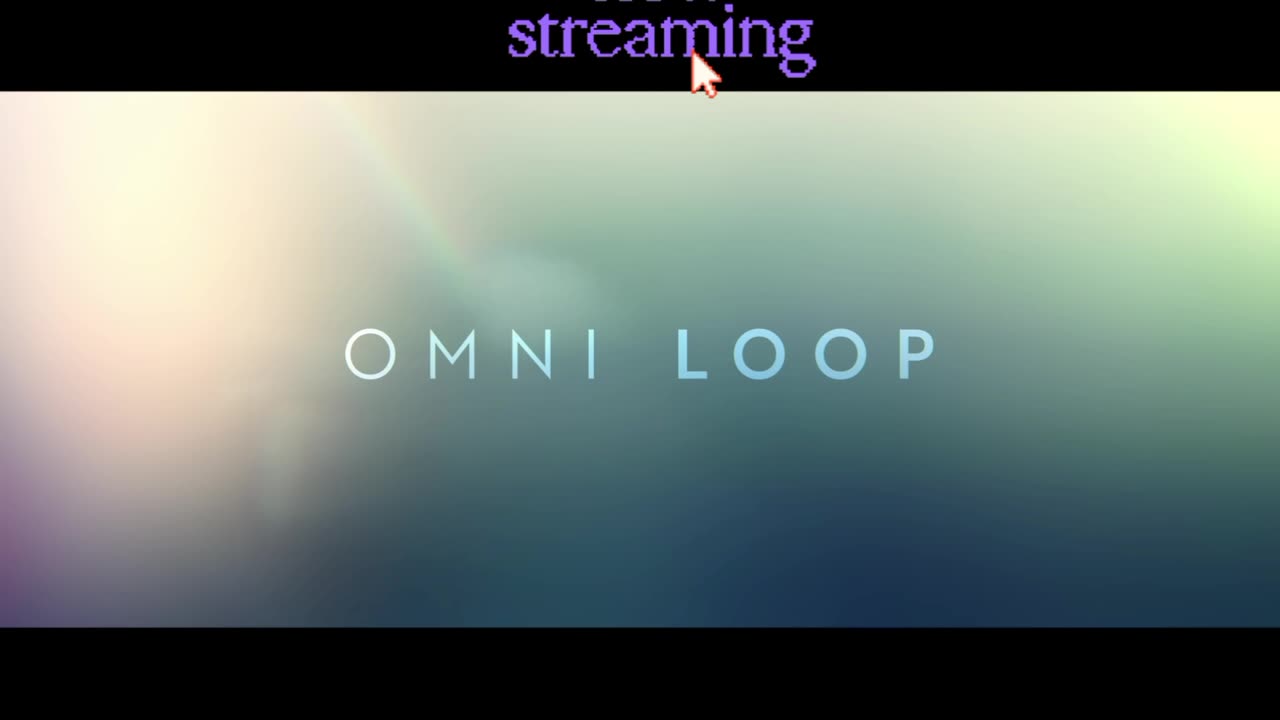 Omni Loop 2024