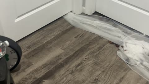 Pretend the Flood Isn’t Happening