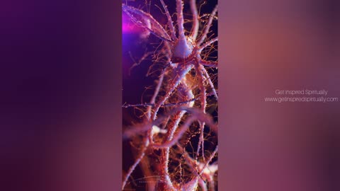 We RESIST CHANGE because.. | Eye Opening Video|| #neuropsychology #mind #change