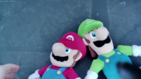 the funny mario bros sonic vs mario